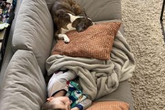 Bailey takes care of sick Wyatt