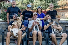All the dogs