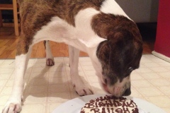 Birthday Girl